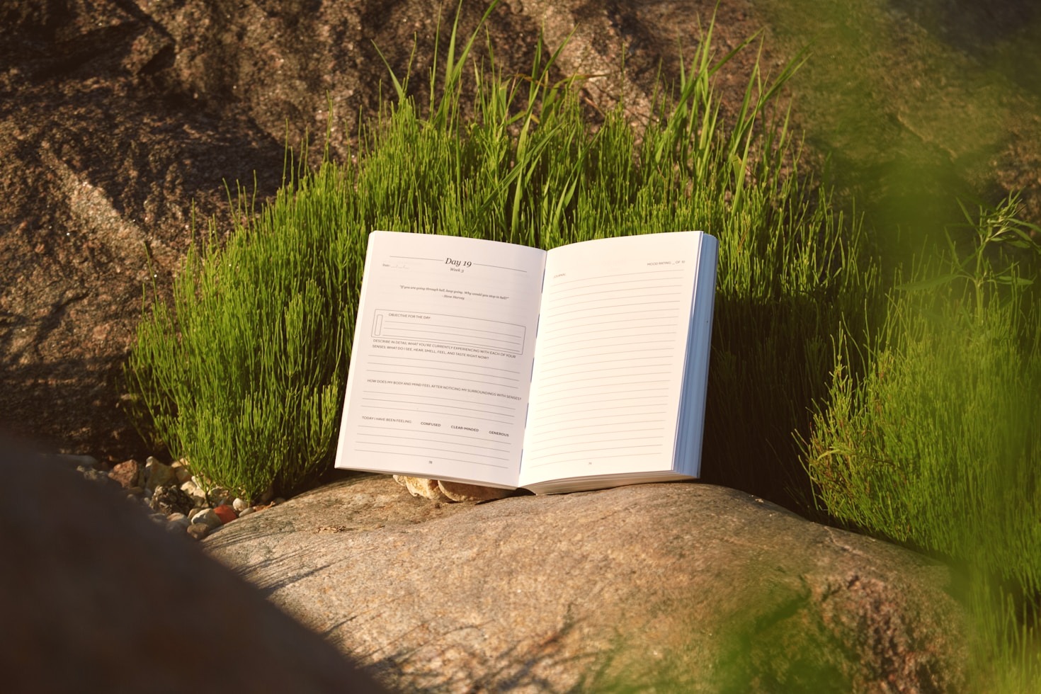 How Aikido Principles Foster Personal Growth